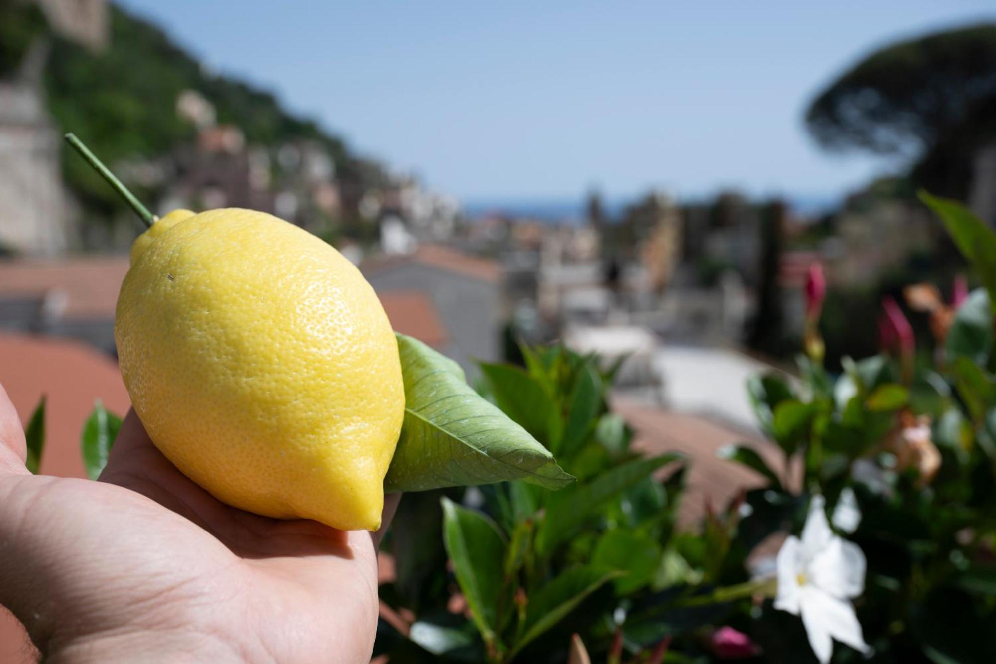 Valle D'Amalfi Suites Exteriör bild